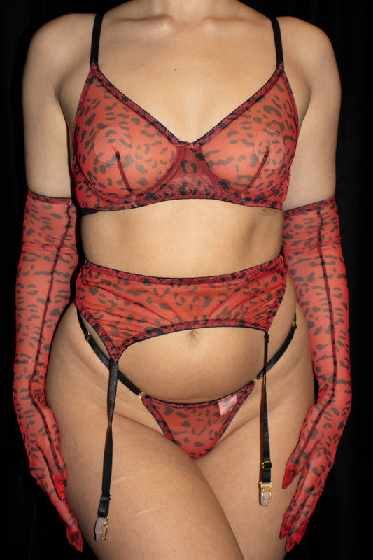 Bra G String Suspender Gloves Stockings Set Red Leopard
