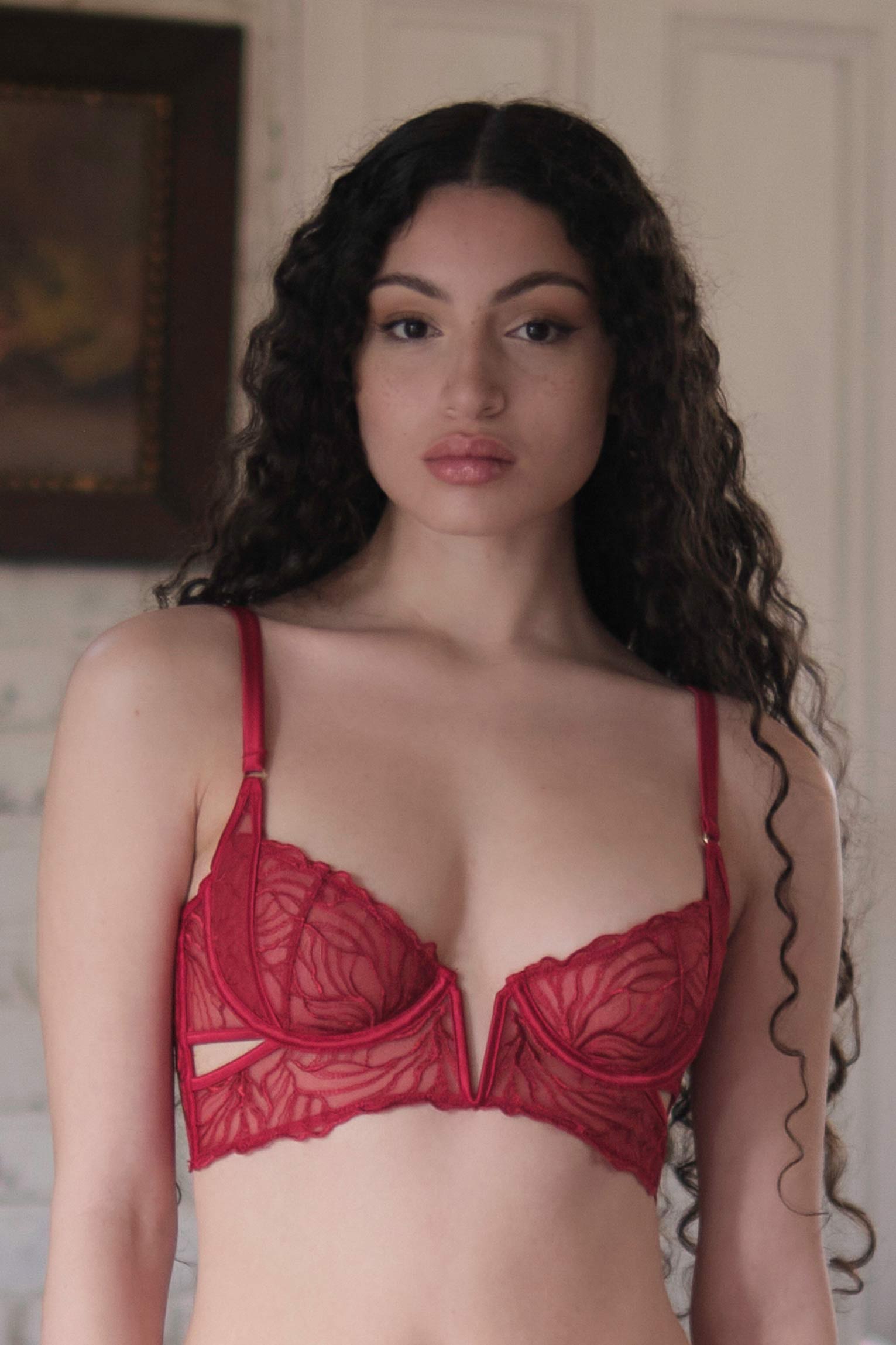 Gaia Bustier Corset Back Bra Red