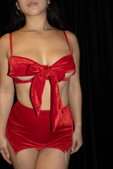 Velvet 3 Piece Bow Set Red